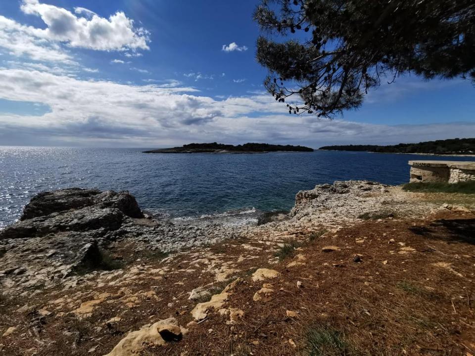 Black Pearl - Luxury Seaside App With Pool & Bbq, Istra Banjole Luaran gambar