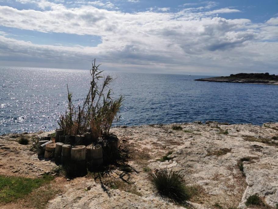 Black Pearl - Luxury Seaside App With Pool & Bbq, Istra Banjole Luaran gambar